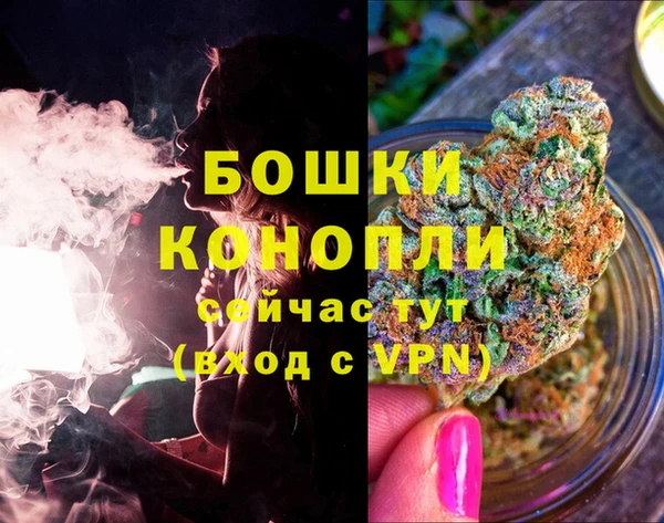 молекула духа Киреевск