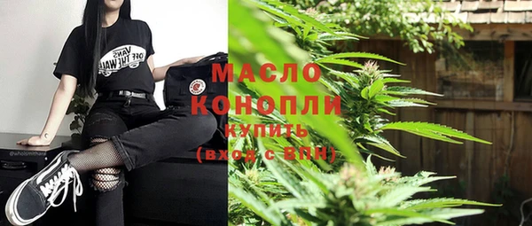 молекула духа Киреевск