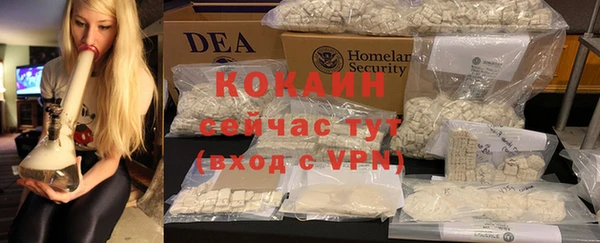 МДПВ Весьегонск