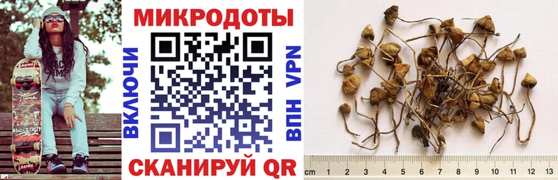 Галлюциногенные грибы Psilocybine cubensis  дарнет шоп  Кодинск 